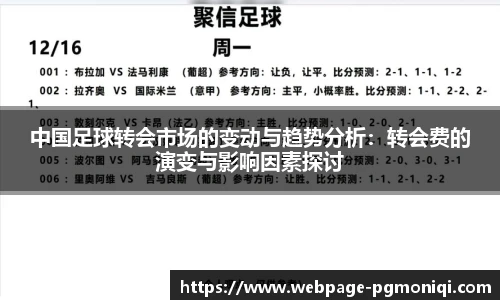 中国足球转会市场的变动与趋势分析：转会费的演变与影响因素探讨