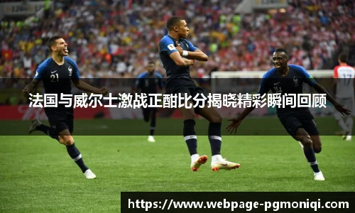 法国与威尔士激战正酣比分揭晓精彩瞬间回顾