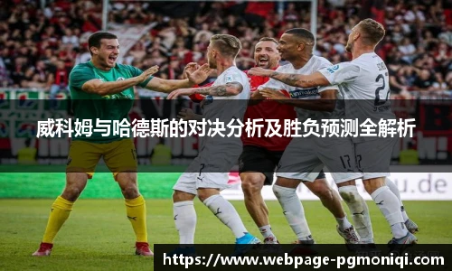 威科姆与哈德斯的对决分析及胜负预测全解析